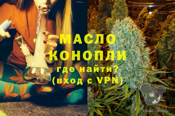 дмт Алексин